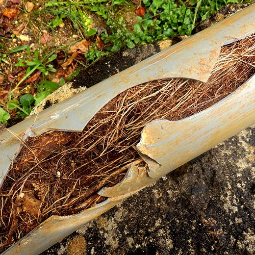 The Drain & Sewer Professionals In Kent Town